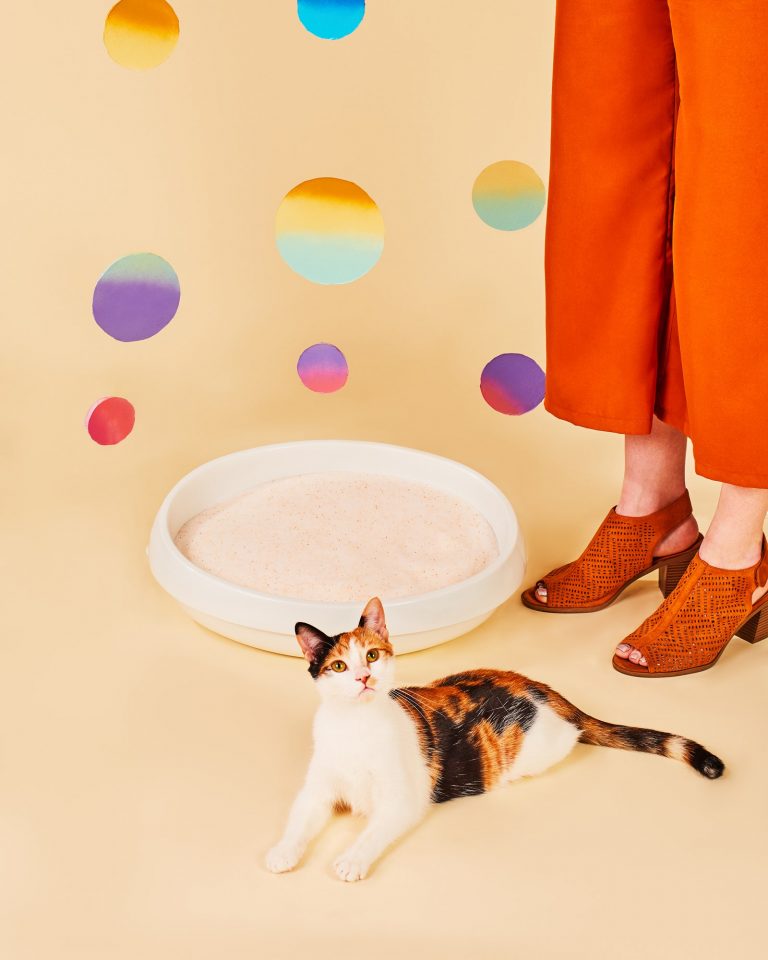 Pretty Litter Review Keeping Tabs on Your Cat’s Health DLSServe