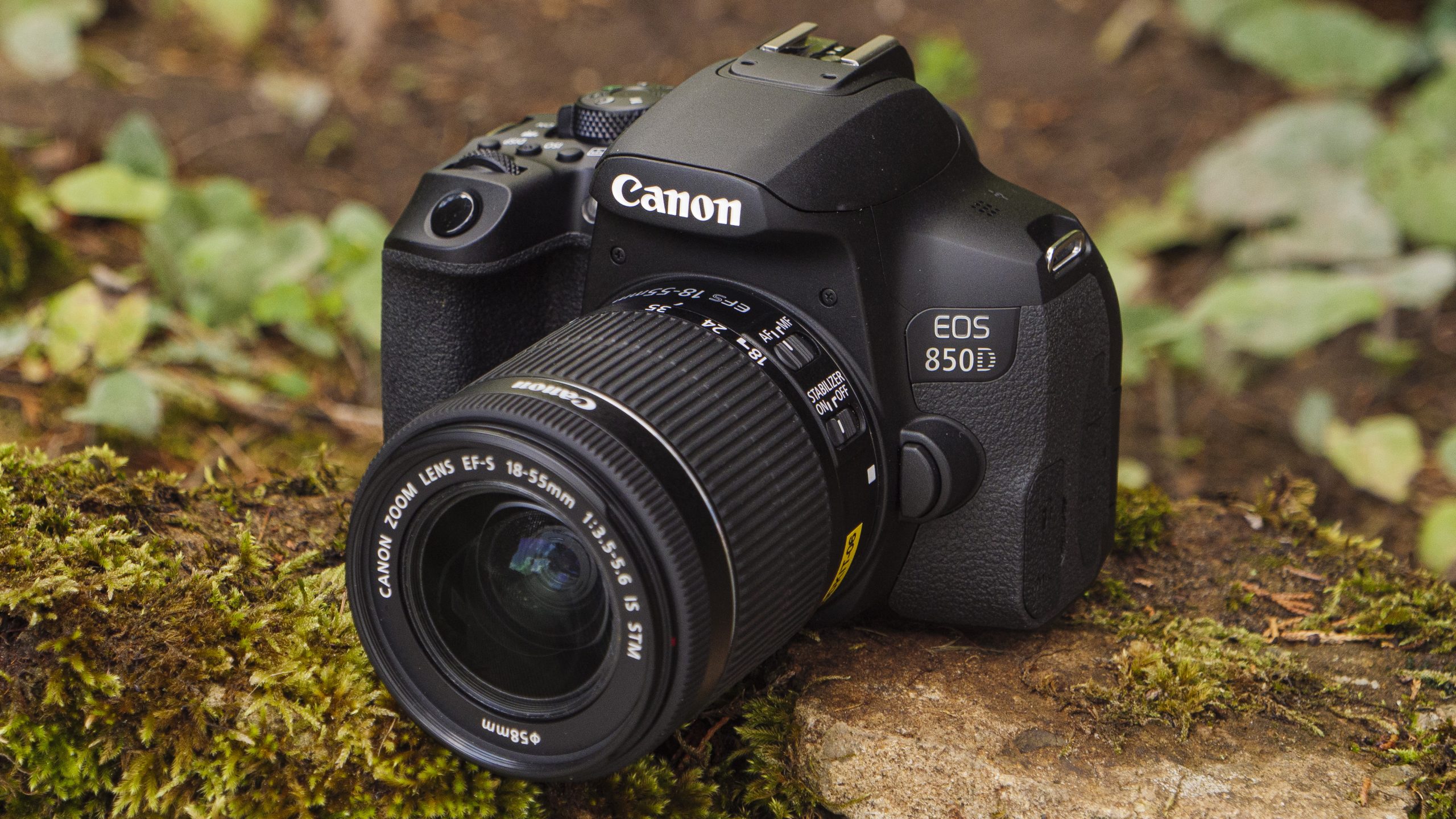 Best beginner DSLR cameras 2020 the 10 finest DSLRs for new