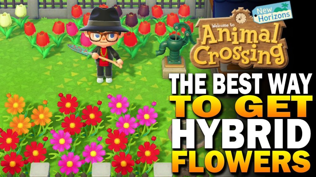 How to crossbreed flowers in Animal Crossing New Horizons DLSServe