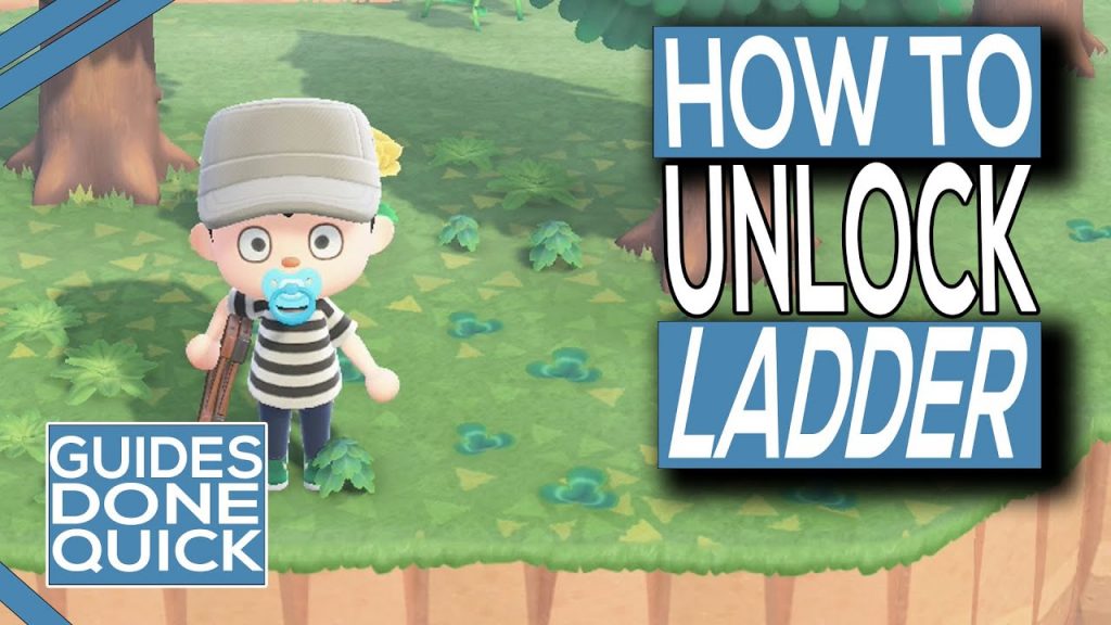 How to get a ladder in Animal Crossing New Horizons DLSServe