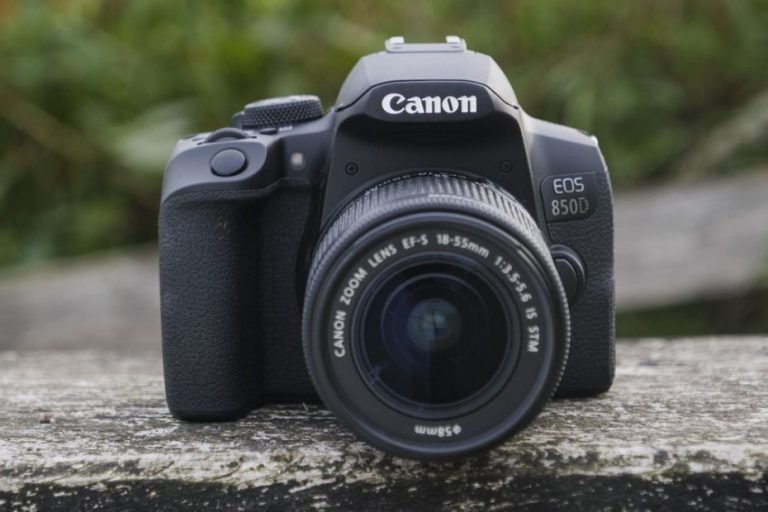 Best beginner DSLR cameras 2021 top 11 entrylevel DSLRs for new