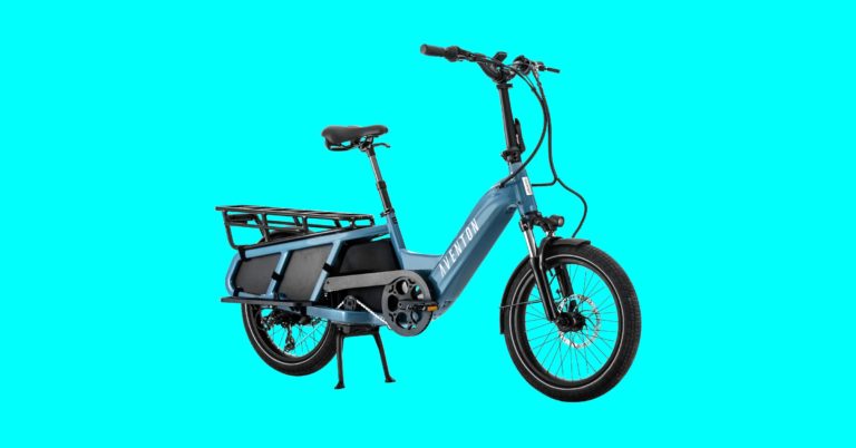 7 Best Electric Cargo Bikes For Families 2023 Dlsserve 8352