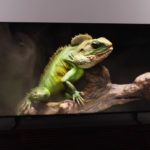We love this Hisense 65-inch mini-LED TV, and it’s $100 off