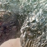 Godzilla Minus One gets a surprise Netflix release