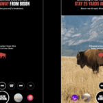 Jackson Hole’s new Instagram filter warns you when you’re dangerously close to wildlife