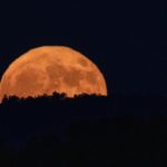 Don’t miss the Beaver Moon, the last supermoon of 2024