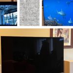 The 11 Best TVs We’ve Reviewed, Plus Buying Advice (2024)