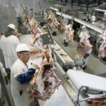 US Meat, Milk Prices Should Spike if Donald Trump Carries Out Mass Deportation Schemes