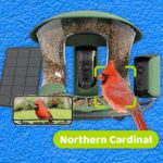 Best Bird Feeders With Cameras, Tested and Reviewed (2025)