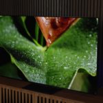 This Sansui 55-inch OLED is one of our favorite budget TVs, and today it’s on sale