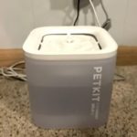 13 Best Cat Water Fountains, WIRED Tested and Reviewed (2025)