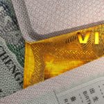 A ‘Trump Card Visa’ Is Already Showing Up in Immigration Forms