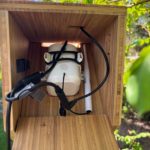 Birdfy Nest Polygon Smart Birdhouse Review: Primed for Pictures