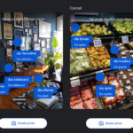 Can Google’s new AI experiment help me learn a language?