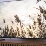Don’t miss your chance to score an 85-inch Sony TV for $1,400