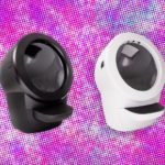 The 24 Best Amazon Pet Day Deals (2025)