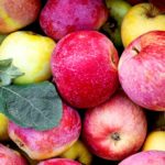 Trump’s Tariffs Are Threatening America’s Apple Juice Supply Chain