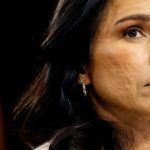 Tulsi Gabbard Reused the Same Weak Password on Multiple Accounts for Years