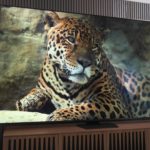 You Asked: Best 98-inch TVs, Apple CarPlay just leveled up