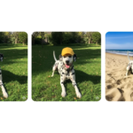 You can now edit images in Gemini directly