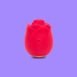 6 Best Clitoral Suction Toys (2025), Tested and Reviewed