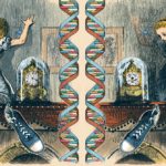 How the Universe and Its Mirrored Version Are Different