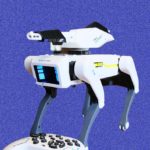 We Bought a ‘Peeing’ Robot Attack Dog From Temu. It Was Even Weirder Than Expected