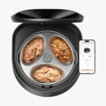 10 Best Prime Day Pet Deals on Amazon (2025)