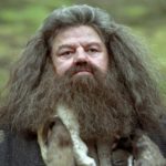 HBO’s Harry Potter TV show is supposed to be a fresh start, but Nick Frost’s Hagrid says otherwise