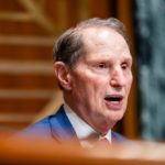 US Senator Urges DHS to Probe Whether Agents Were Moved From Criminal Cases to Deportations