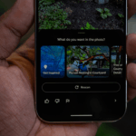 Google Pixel 10, Pixel 10 Pro, and Pixel 10 Pro XL Review