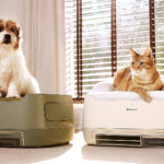 I’m obsessed with this pet bed-air purifier combo that apparently sucks up hair, dander, and pet smells right at the source