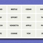 NYT Connections hints and answers for Monday, August 4 (game #785)
