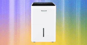 6 Best Dehumidifiers for Cool and Dry Home Air (2025)