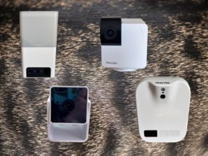 72 Best Prime Day Deals Under $100 (2025): Chargers, Earbuds, and More