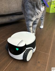 8 Best Pet Cameras (2025), Tested and Reviewed