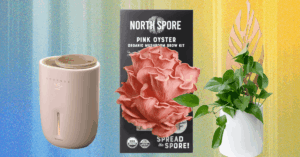 The 14 Best Gifts for Plant Lovers We’d Buy Ourselves (2025)
