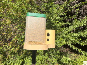 Amazon Is Having a Huge Black Friday Sale on Birdfy Smart Bird Feeders (2025)