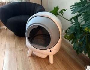 The 6 Best Automatic Litter Boxes (2025) Our Cats Would Recommend