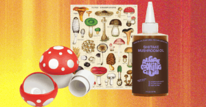 The Best Mushroom Gifts for Your Fungi Friend (2025)