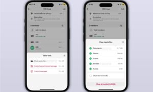 WhatsApp update for early adopters offers a smarter way to clear storage