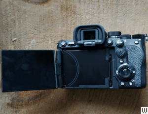 Sony A7V Review: The Best Overall Mirrorless Camera