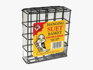 Winter Bird Feeding Tips for the Peak of Bird Watching Season (2026)