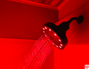 7 Best Shower Filters (2026), WIRED Tested and Approved