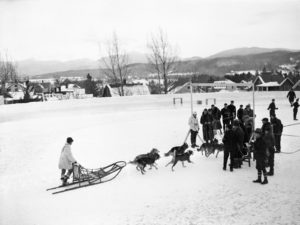 All the Sports You Won’t See at the 2026 Winter Olympics