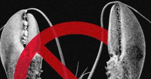 Meta and Other Tech Companies Ban OpenClaw Over Cybersecurity Concerns