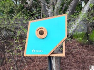 The Smart Bird Feeders Everyone’s Talking About (and Actually Buying) (2026)